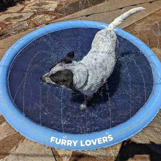 Furry Lovers Spleshee