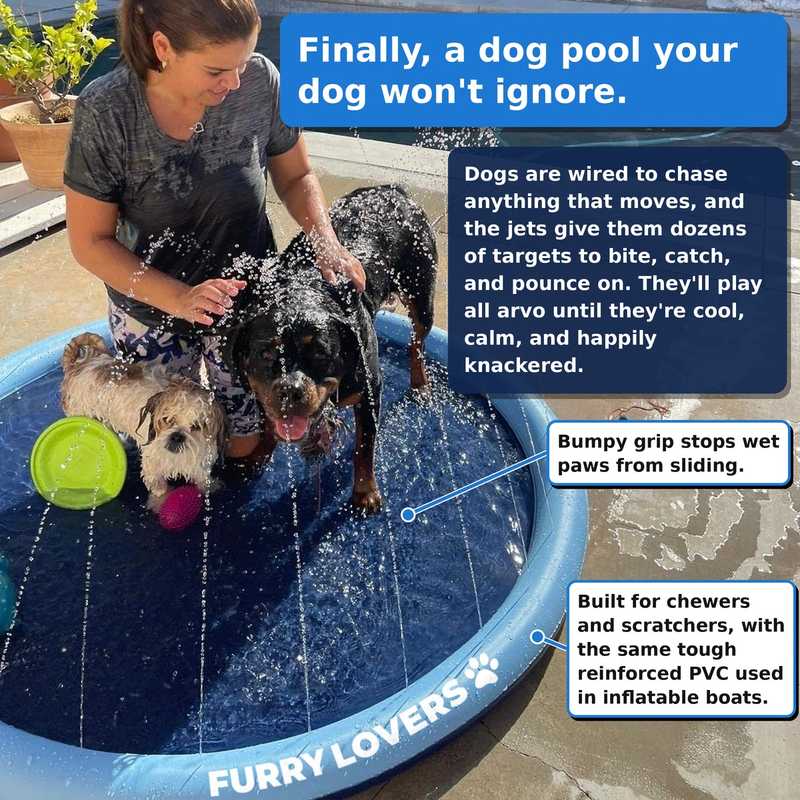 No More Stinking Hot, Bored Dogs This Summer!