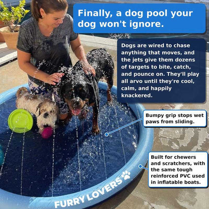 No More Stinking Hot, Bored Dogs This Summer!