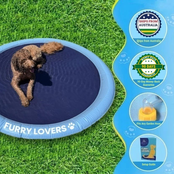No More Stinking Hot, Bored Dogs This Summer!