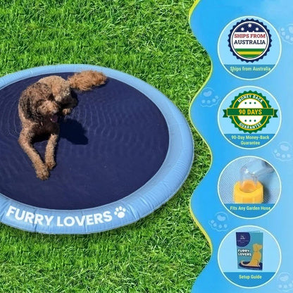No More Stinking Hot, Bored Dogs This Summer!