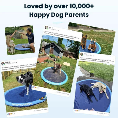 No More Stinking Hot, Bored Dogs This Summer!